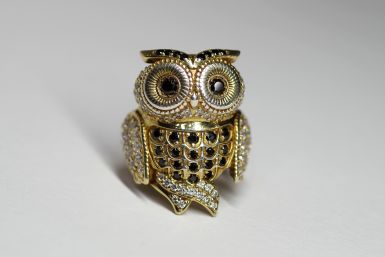 Kolekce NATUR MAGIC - prsten CABRHA diamonds OWL